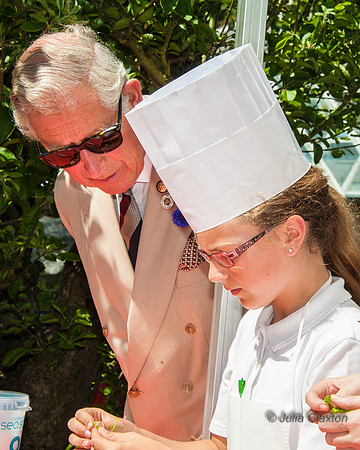 20140718-_DSC6765