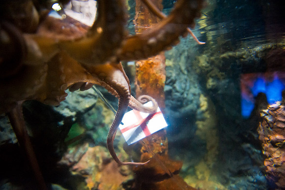 20120615-JMC_3517