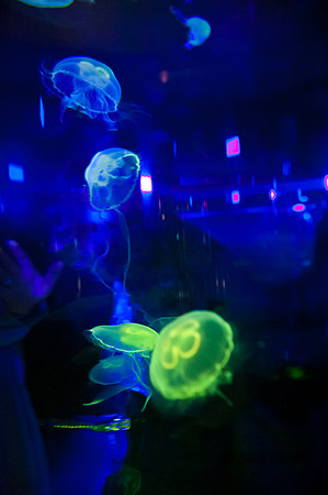 20120516-JMC_1316