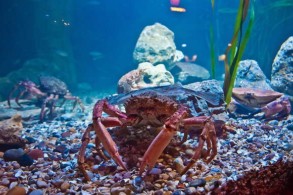 20120516-JMC_1175