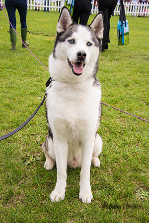 20140906-DSC_1600