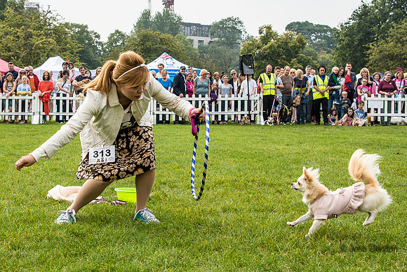 20140906-DSC_1514