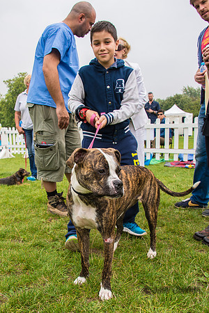 20140906-DSC_1432