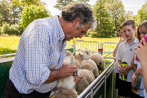 20140718-_DSC6692