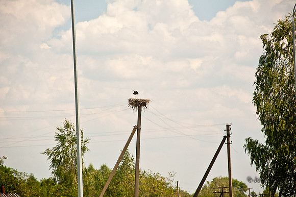 20120729-_JMC6459