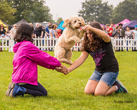 20140906-DSC_1495