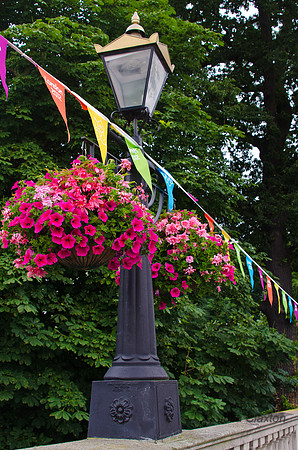 20120627-_DSC5347