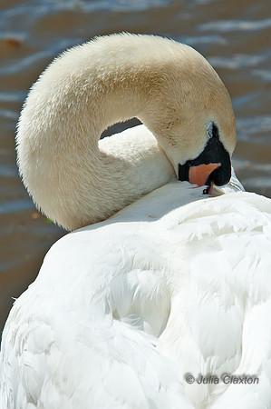 20120430-JMC_0642