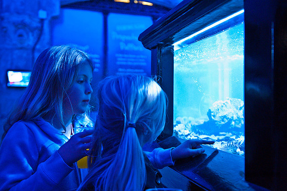 20120516-JMC_1168