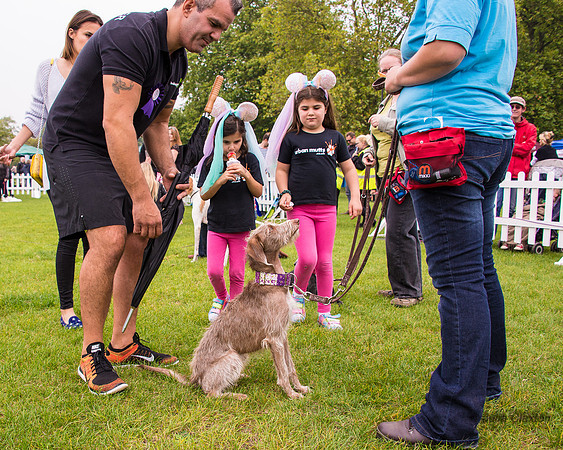 20140906-DSC_1364