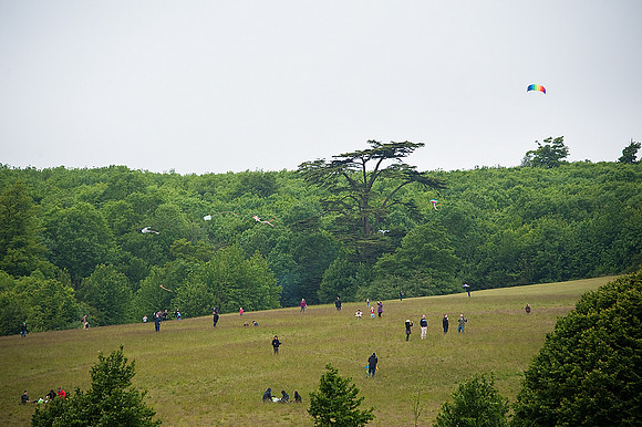 KITE_095