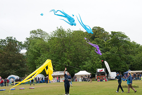 KITE_082