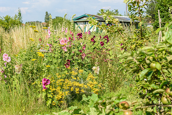 544-20210720-_DSC4110