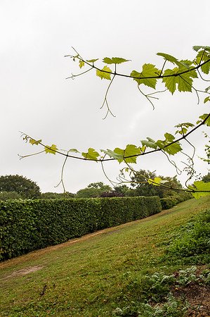 20130824-_DSC5171
