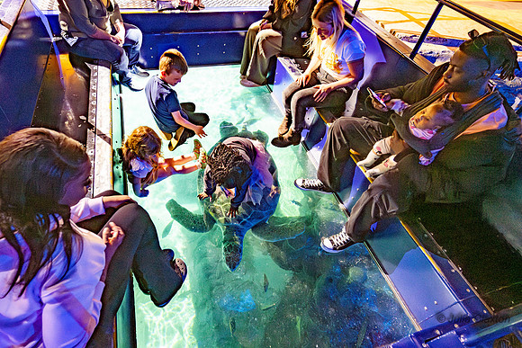 142-20250425-JC1_7589-Enhanced-NR