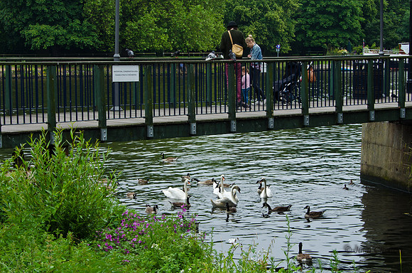 20120627-_DSC5484