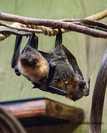 20140308-_JC20625