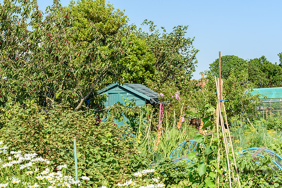 543-20210720-_DSC4108