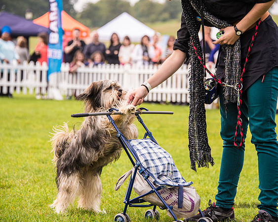 20140906-DSC_1476