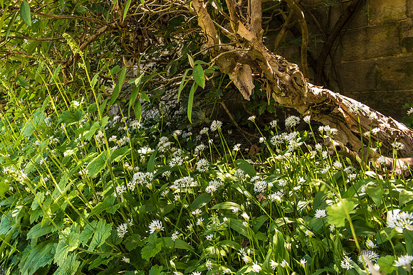 20150513untitled1016