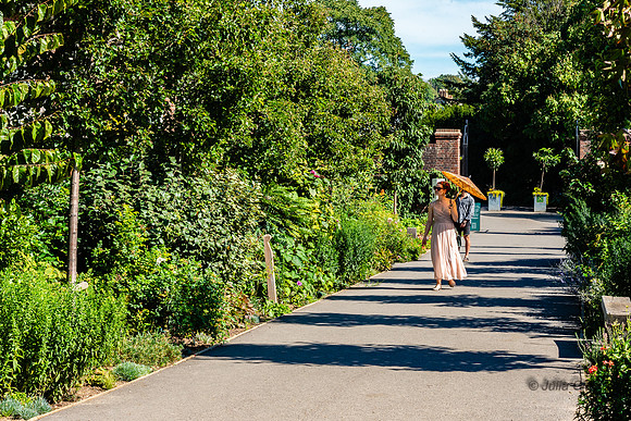 E-93-20230904-_JC24173