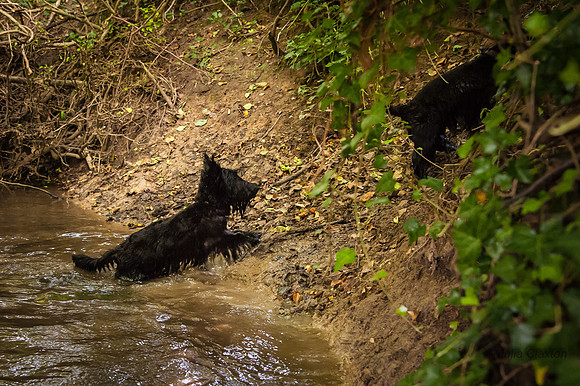 20140725-_DSC7223