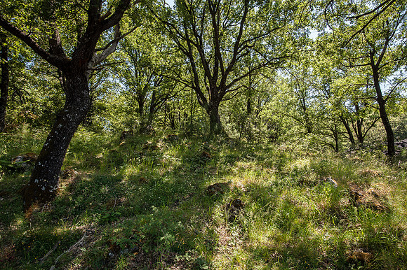 20140608-_DSC5730