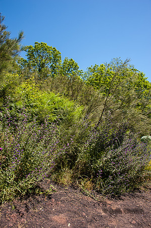 20140608-_JC28702