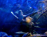 9-20260625-JC1_0657