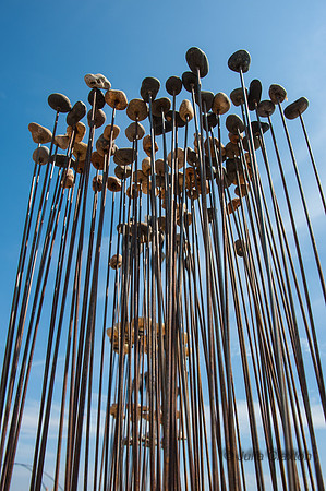 20130505-_JC23802