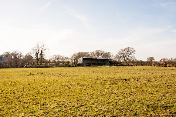 20140306-_JC20302