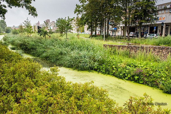 27-20150817-_DSC9849