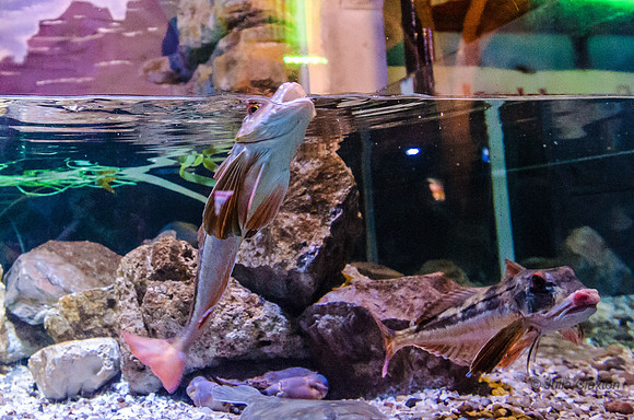 20130430-_DSC8080
