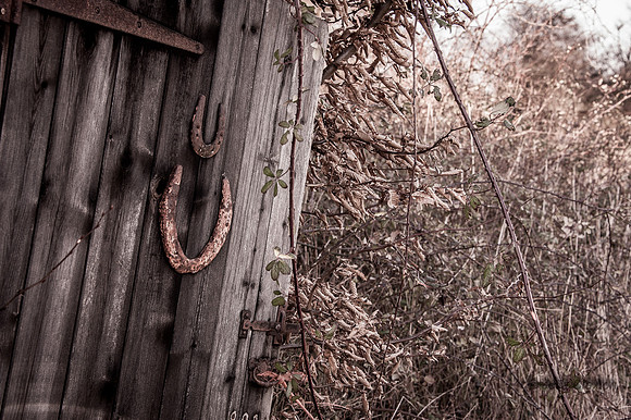 20140306-_JC20336