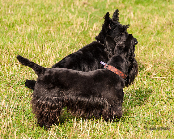 20140725-_DSC7166