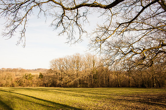 20140306-_JC20299