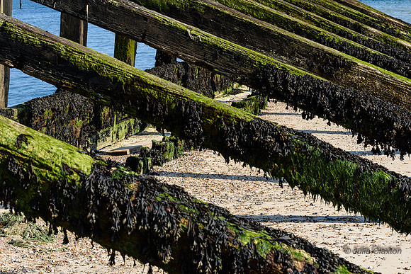 765-20210720-_DSC4124