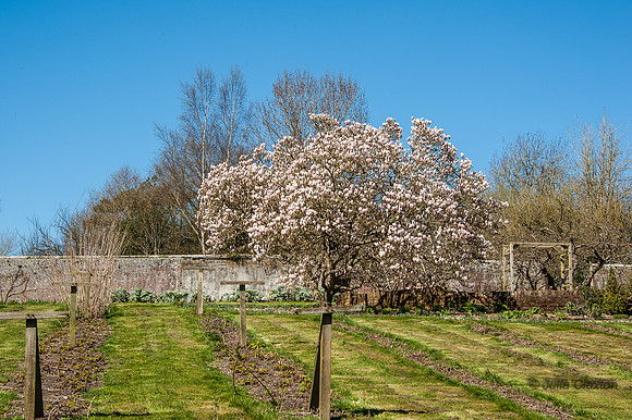 20130420-_JMC8910