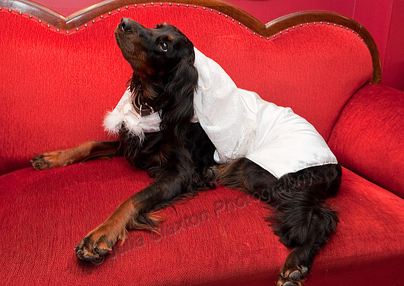 K9RW_JMC_0292