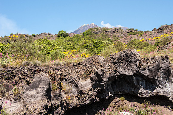 20140608-_JC28665