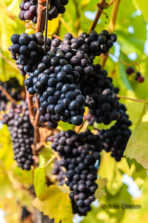 20140922-_JMC4361