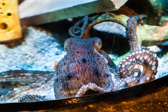 20141103-DSC_5061