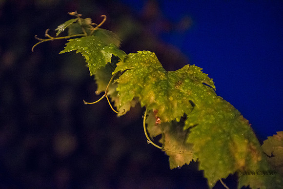 20140901-DSC_0572