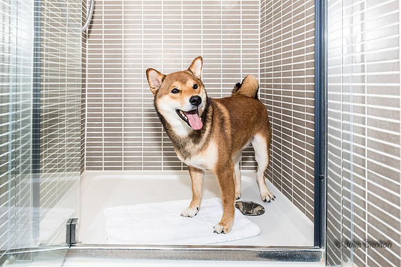 20160625-_DSC3548