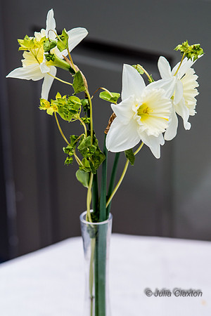 20150331-207