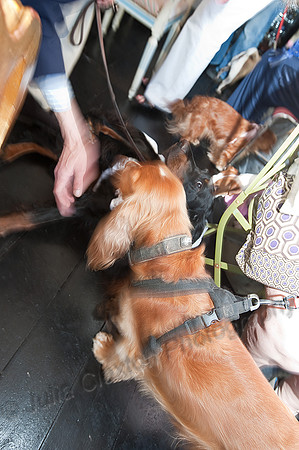 K9RW_JMC_0372