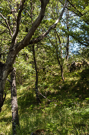 20140608-_JC28759