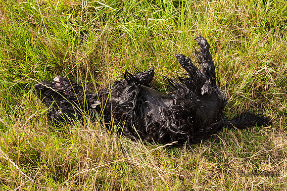 20140725-_DSC7191