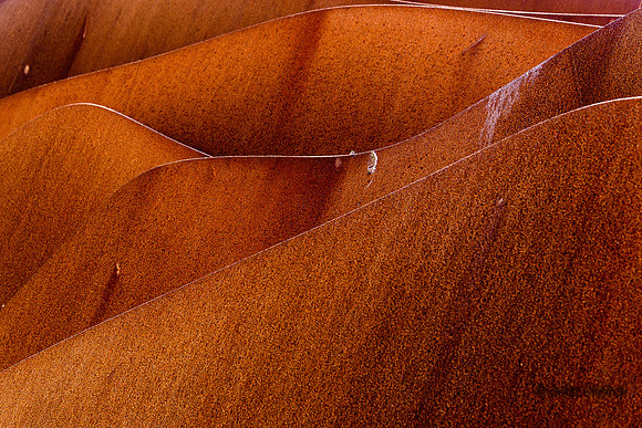 724-20210722-_DSC4498