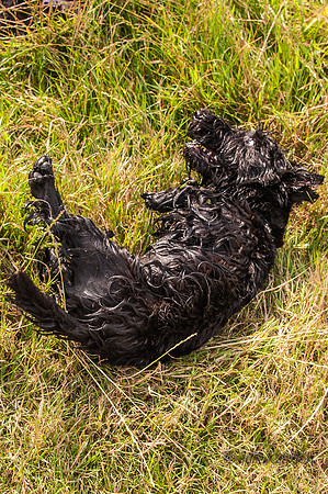 20140725-_DSC7195
